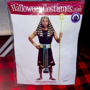 Mens Dark Pharoah new costume
